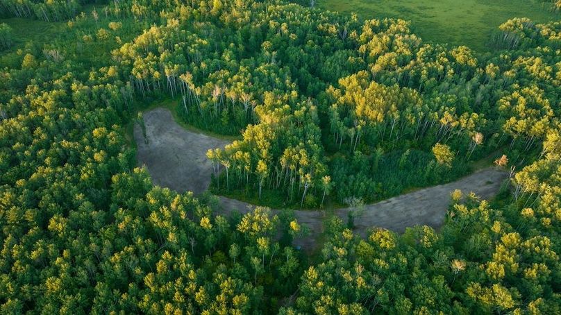 Cass MN 1095 Featured ProPhoto-104