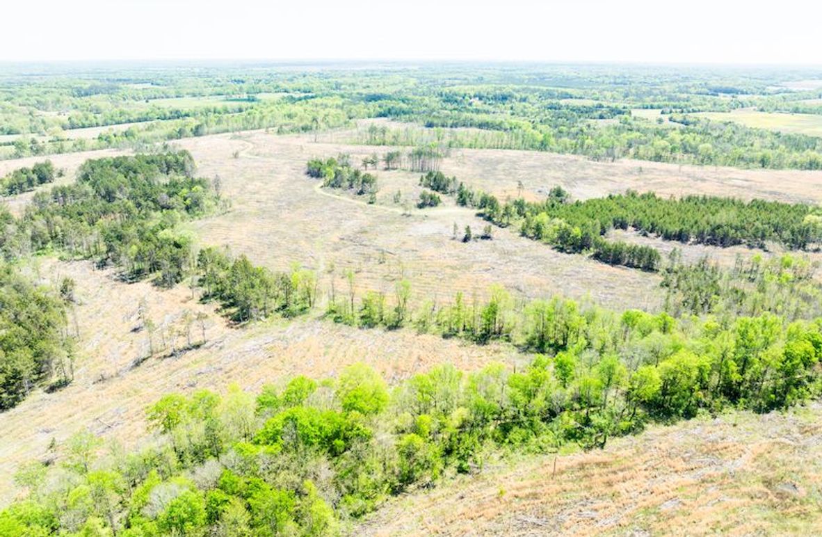 Chickasaw 165 Woods-07