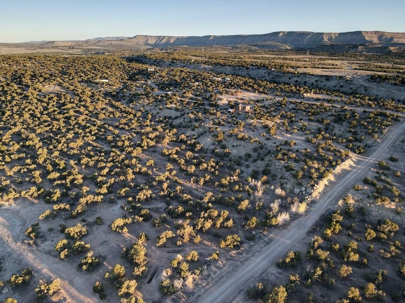 dji_fly_20260407_071416_556_1775587826764_photo