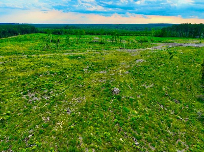 C207E778-005F-45DB-A56E-0BB5056D7546_1_105_c