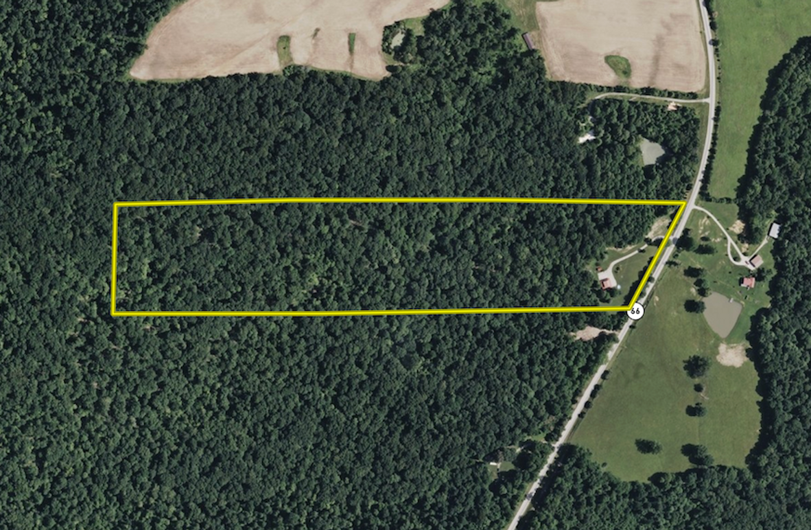 Screenshot 2026-01-13 at 11.14.28 AM