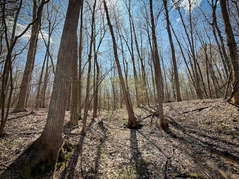 Cayuga_23.5_Demott_photos_9