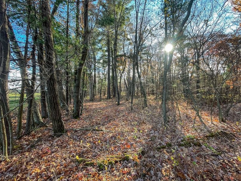 Portage 150.81 JMJK Prop-52