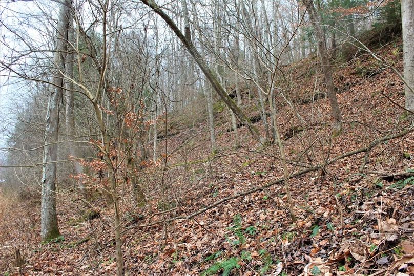 011 wooded north facing slope in the middle of the property