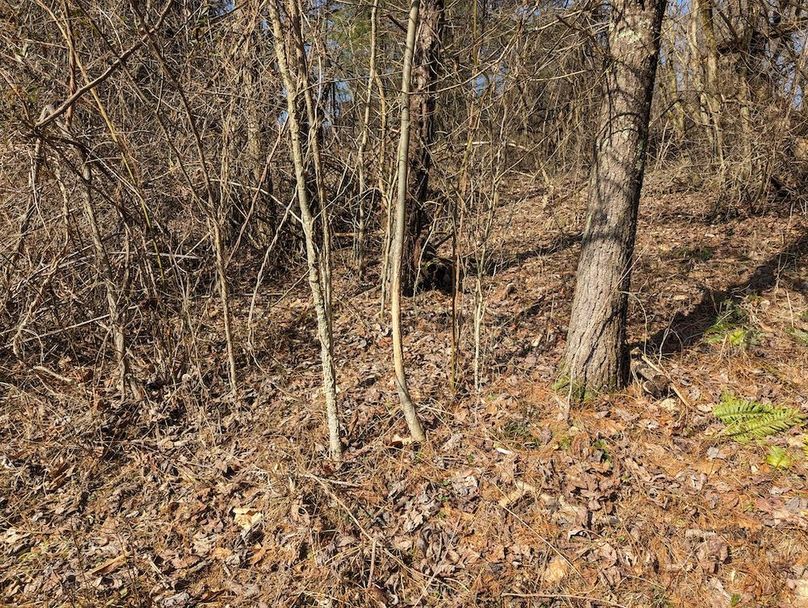 PXL_20240223_162848199