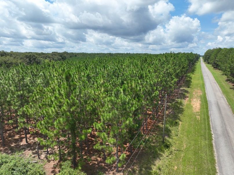 dji_fly_20250814_131748_74_1755192474652_photo