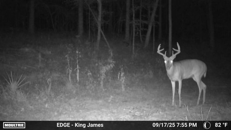 image638937836020543280