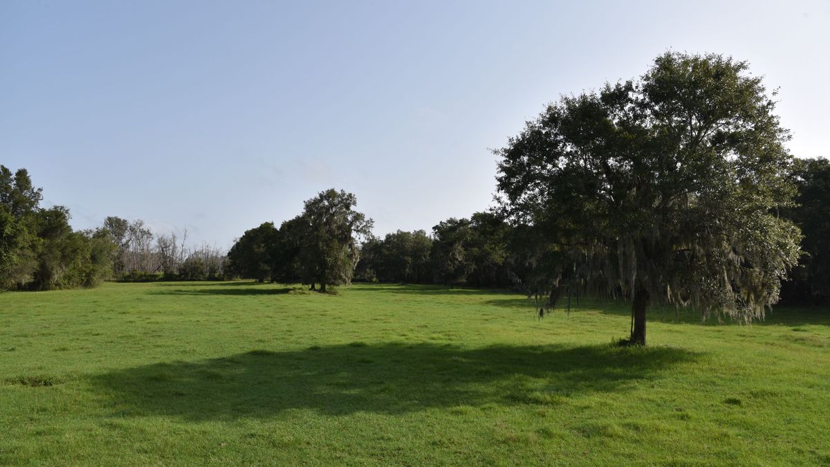 Great Pasture Land For A Future Farm With Highway Access Whitetail Properties