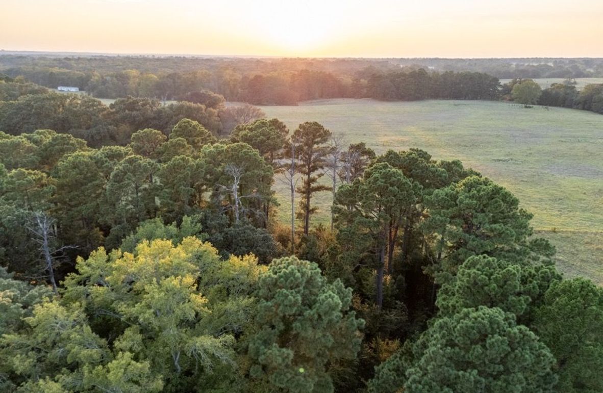 1 Wood co. 45ac - Penix edited-62