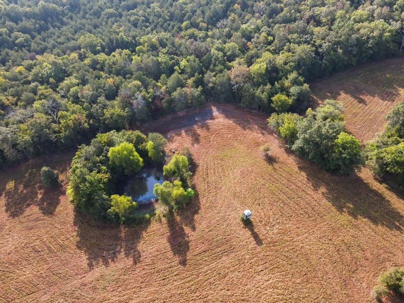 dji_fly_20250826_083646_688_1756215464843_photo