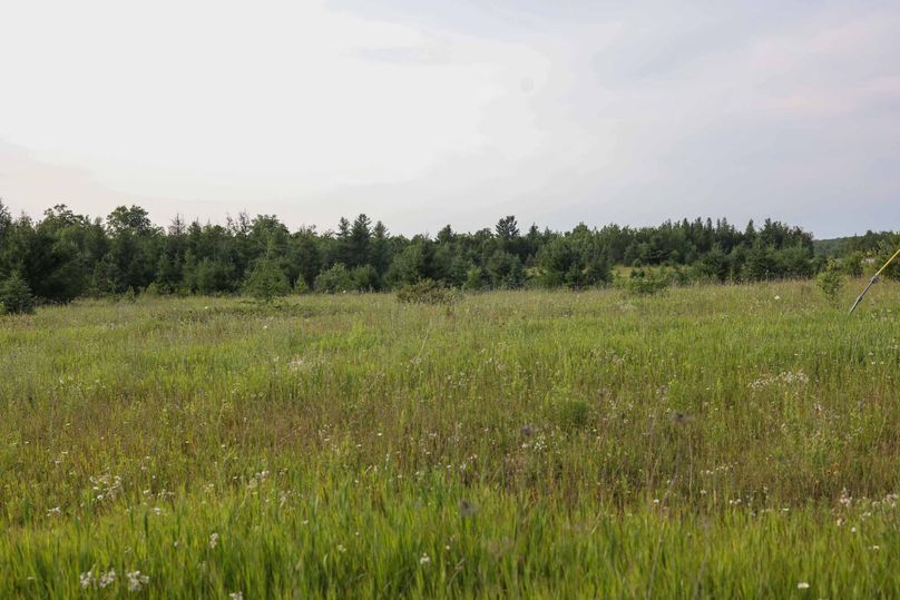 Mackinac20Fewins-6036