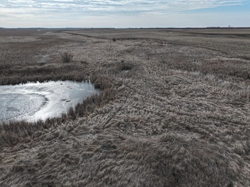 DJI_20260222124721_0029_D