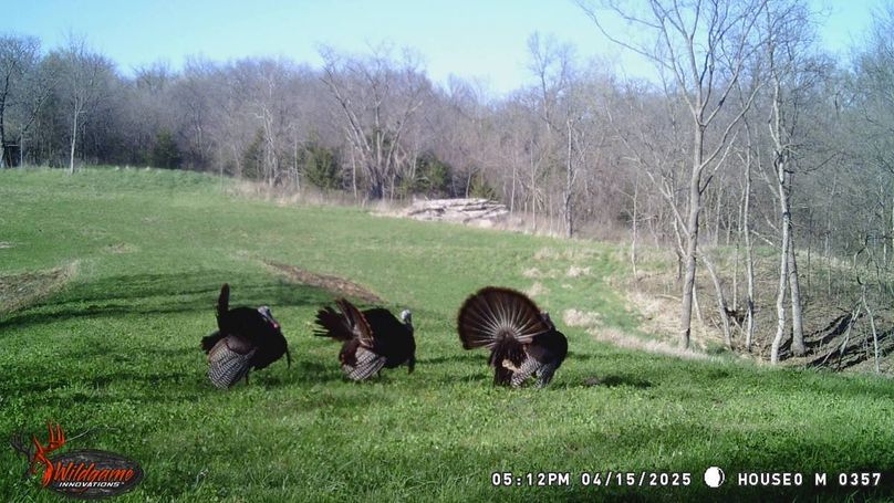 TRAIL CAM 9