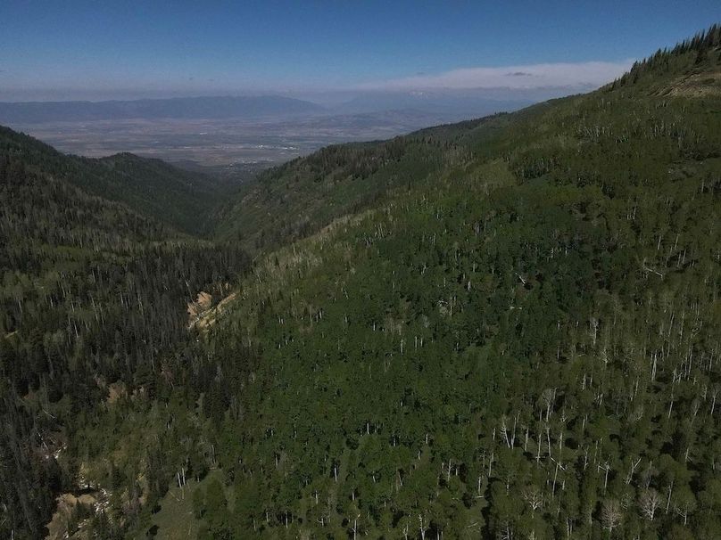 1 photo sanpete 795