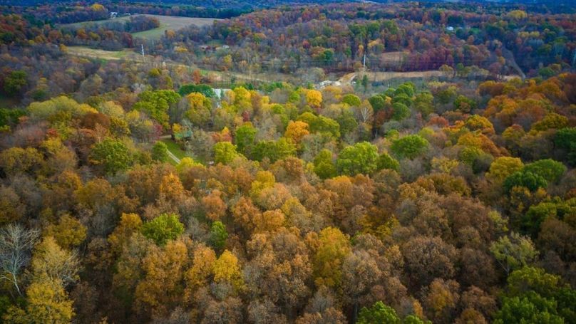 19-zj 31961 Township Rd 381015