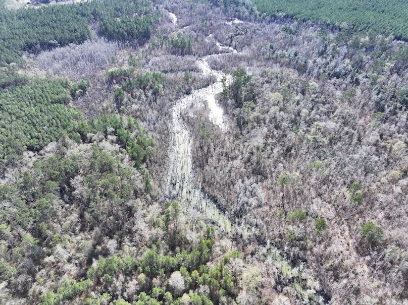 dji_fly_20260112_124414_0822_1768323787593_photo