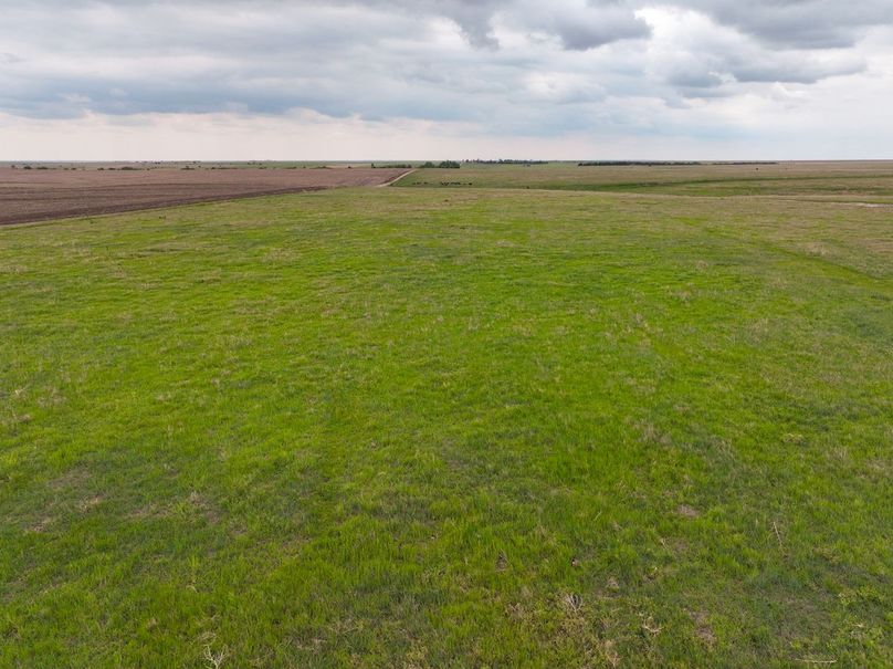 dji_fly_20240515_124946_236_1715795922417_photo