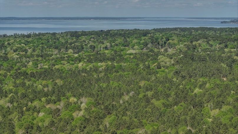 DJI_20260327115249_0031_D