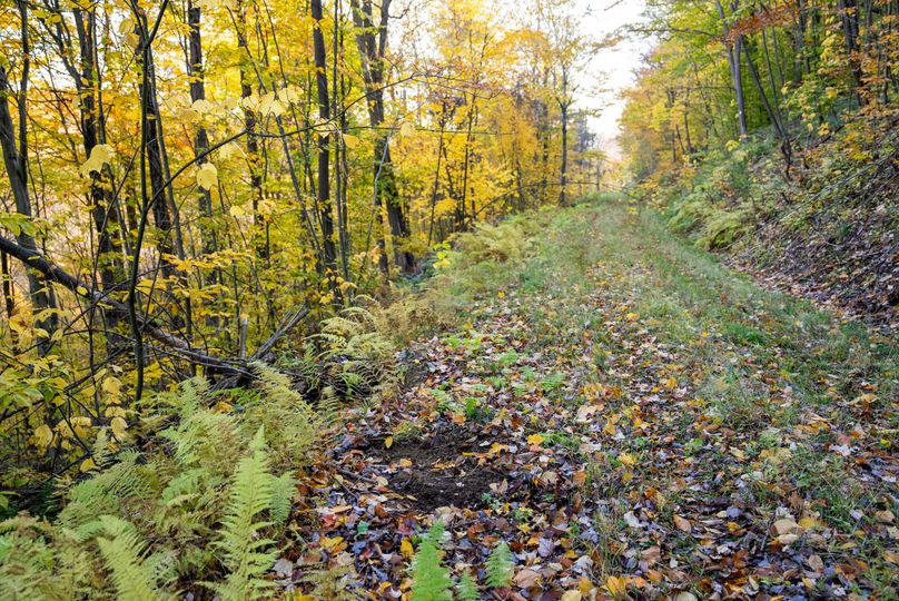 Elk PA 7000 Feature_Pro Photo-95