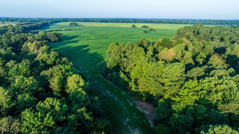 Copy of DJI_20250807181834_0048_D Large