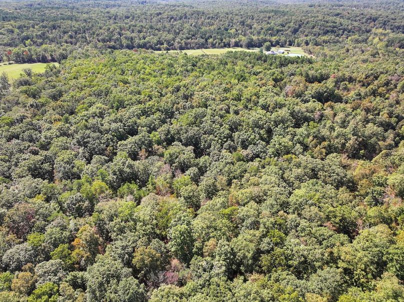 DJI_20240925113015_0222_D