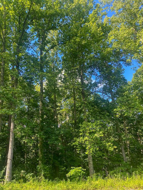 Rowan Ky 5 wilburn -020