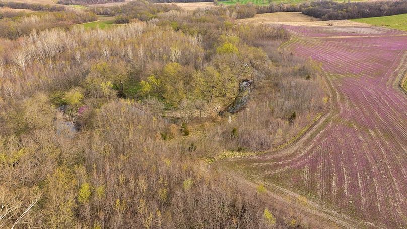 DJI_20250331091541_0657_D