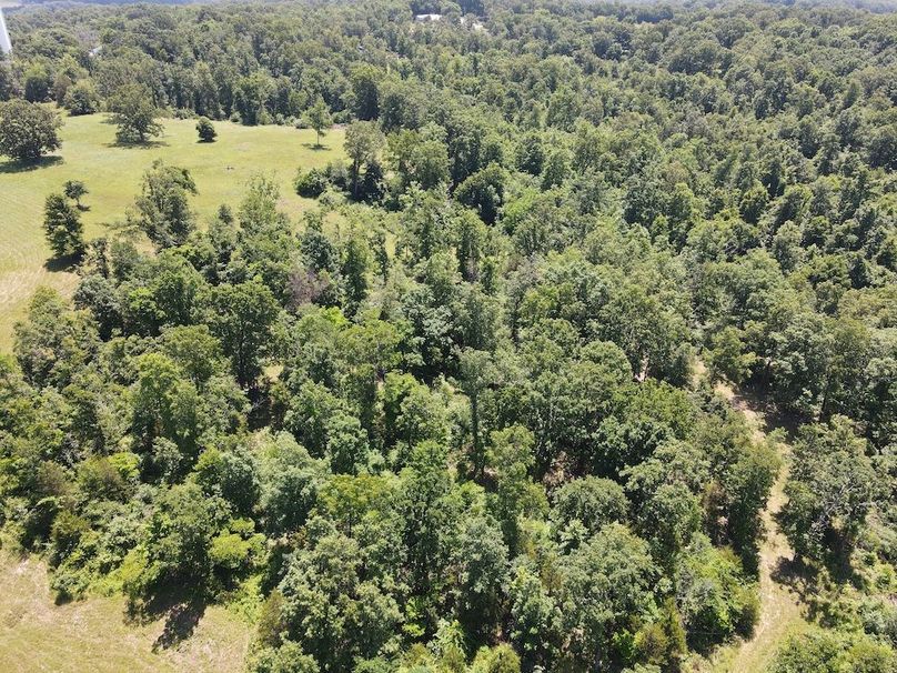 DJI_0834