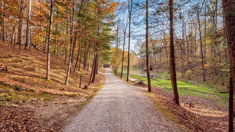 76-z 46585 Morning Star128-2