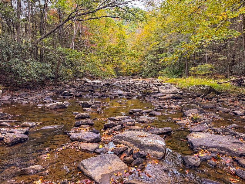 Webster, WV 13.8 AC Heldreth-16