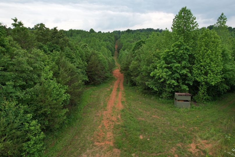 DJI_0549