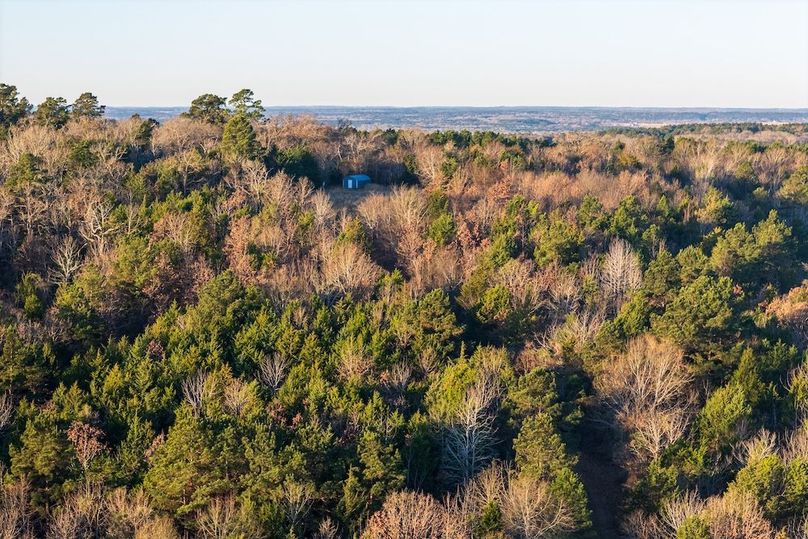 DJI_20260116075834_0034_D