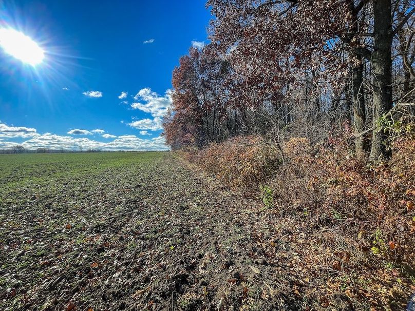 Portage 150.81 JMJK Prop-16