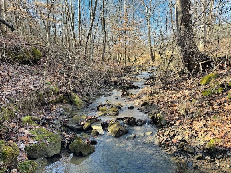 007 multiple spring fed streams 