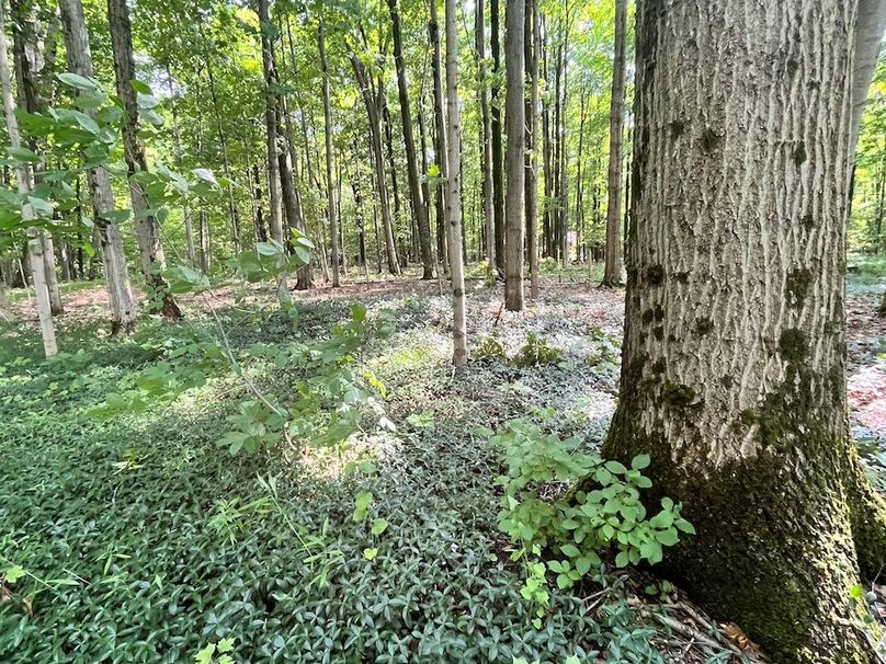 Oswego_22.46-Ross-French_Photos_7