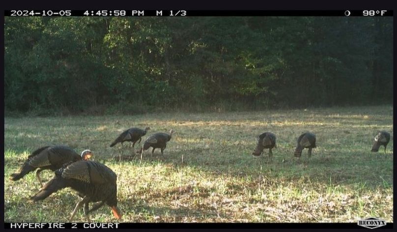 66687AC1-92FD-4249-83B2-65B233105A53_1_201_a