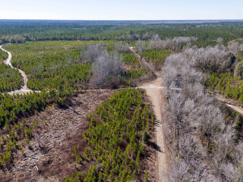 Pender NC 382 - Edits-7