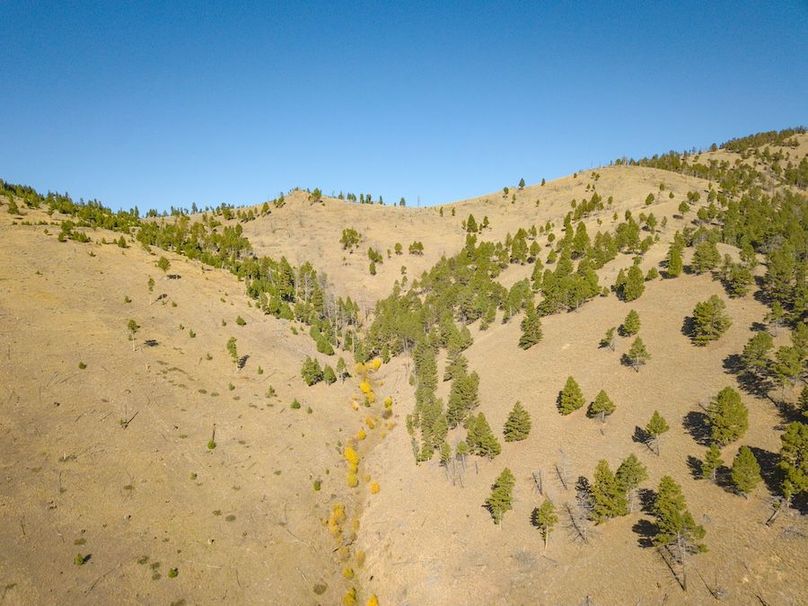 20240925-DJI_0240