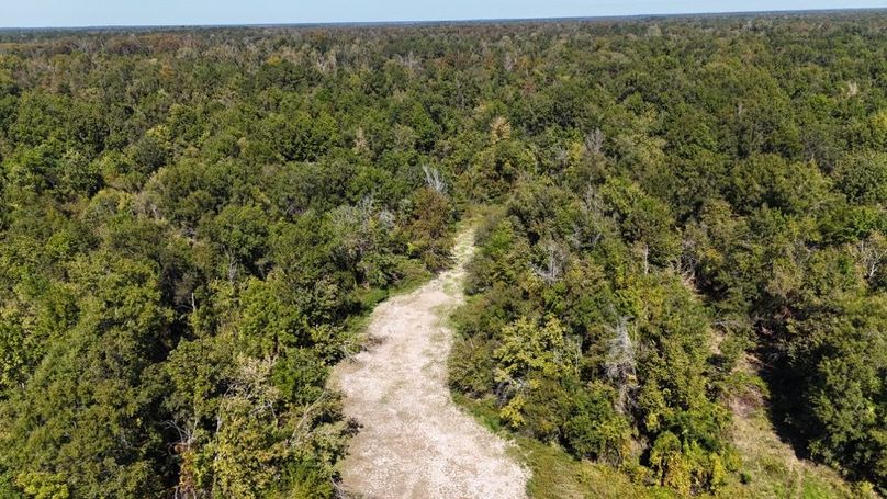 dji_fly_20251015_010840_0057_1760476855752_photo