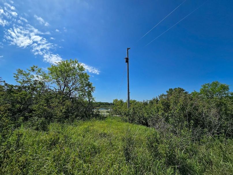 Copy of 20250729_112812