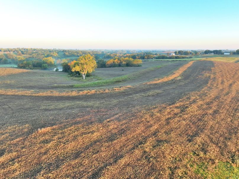 DJI_0185