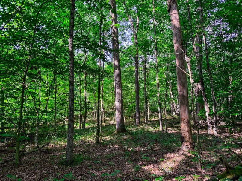 Ritchie, WV 20 AC Thompson-08