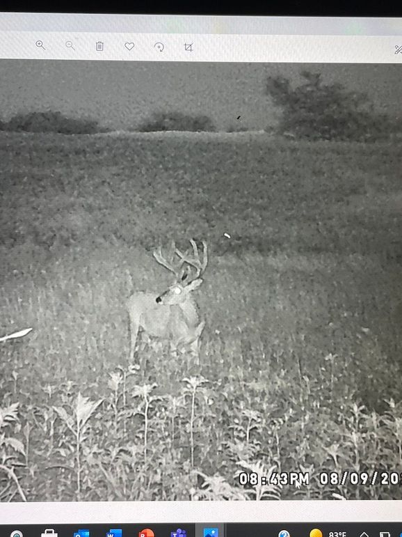 65042431083__1A51F325-95DE-4330-BD24-BAB22B779BBD