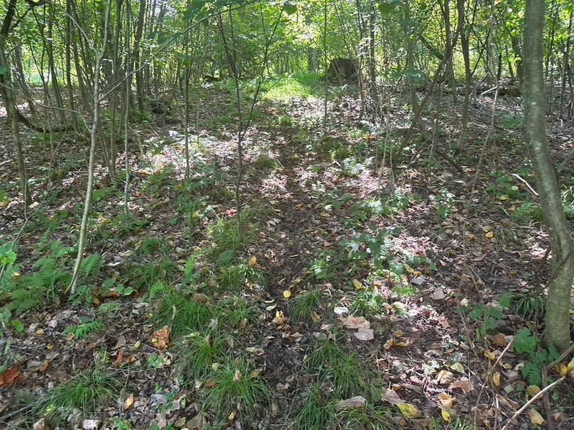 B21279F1-1844-4B0E-8430-73347C17A13B_1_105_c