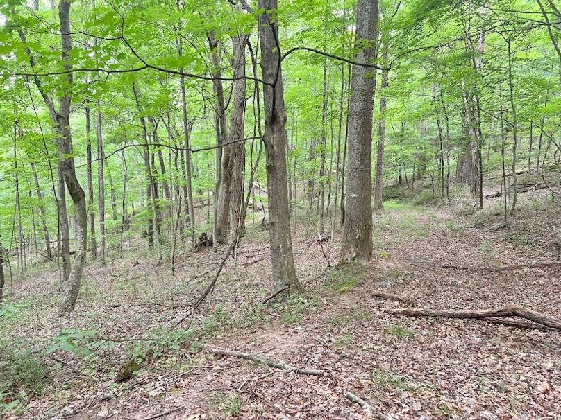 Braxton, WV 46 AC Cooper-74