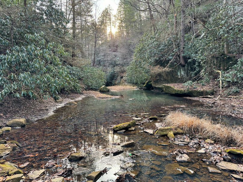 022 peaceful evening down on the creek