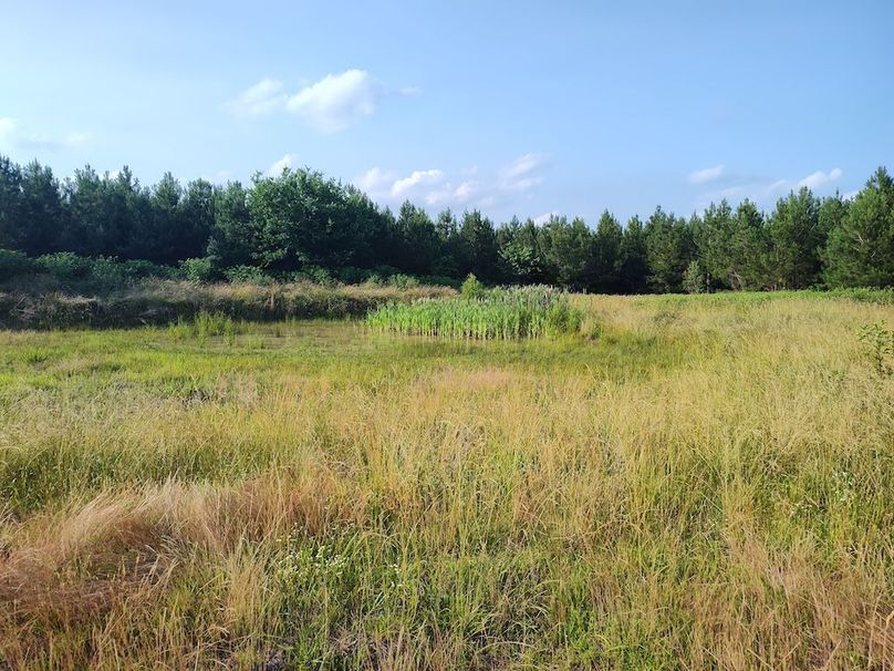 IMG_20250611_180520411