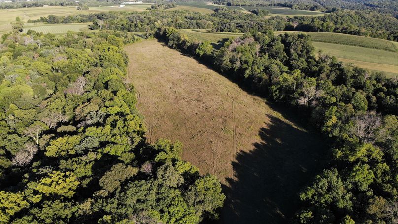 Grant 110 - 17 of 47