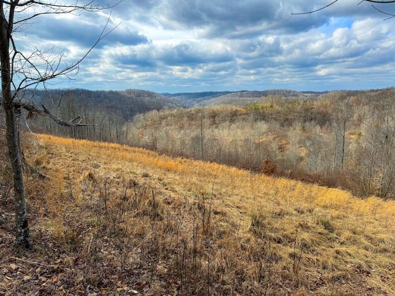 Doddridge, WV 79.08 AC Adams-01