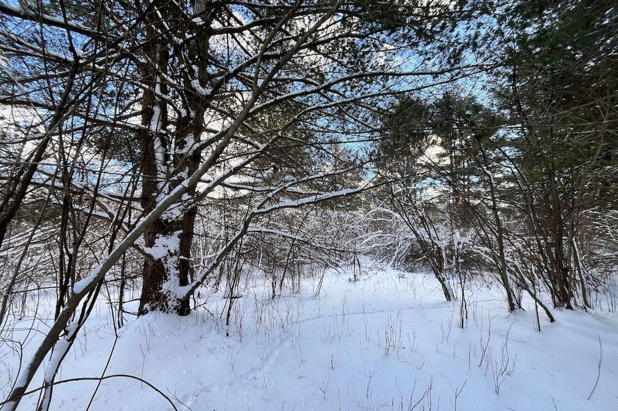 Oswego_10.76_Somberg Photo 6
